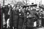 27 ЯНВАРЯ 1945 ГОДА: ДЕНЬ, КОГДА СОВЕТСКИЕ ВОЙСКА ОСВОБОДИЛИ КОНЦЛАГЕРЬ ОСВЕНЦИМ