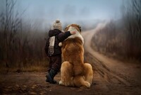 В Приморье потерявшегося в лесу ребенка спасла собака, согревая его всю ночь, сообщил Следком региона в Telegram-канале