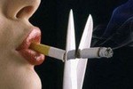 Тотальный запрет на курение не лишит российского общества сигарет