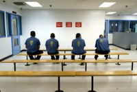 Служба пробации штата Калифорния в США опубликовала статистику рецидивов среди бывших заключенных