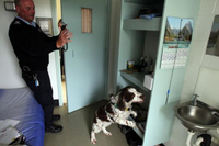 В Новой Зеландии женщины-заключенные воспитывают брошеных щенков