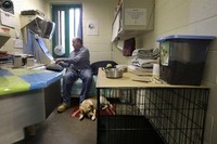 Заключенные США обучают собак-поводырей
