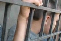 Жириновский: Привлекать к ответственности по УК РФ надо с 10-летнего возраста