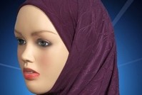 Правозащитные мусульманские организации США борются за ношение хиджаба в тюрьмах
