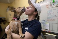У заключенных Канады будут воспитывать чувство сострадания с помощью собак