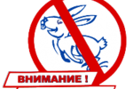Московский «заяц» будет стоить 1 тыс. руб.