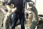 Егор Борисов: Добычу бивней мамонта нужно регулировать законодательно