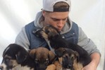 Спортсмен из США хочет увезти из Сочи  семью дворовых собак