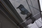В Латвии на одного тюремного психолога приходится приходится до 600 заключенных